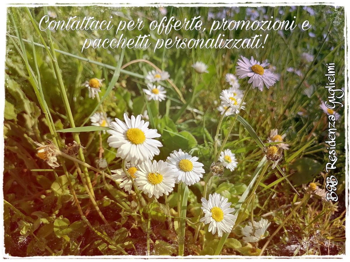 Residenza Guglielmi Bed & Breakfast Campobasso Eksteriør bilde